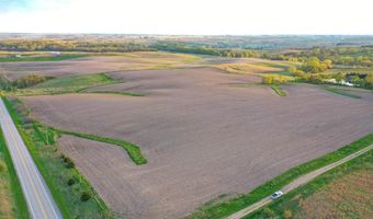 Vine Avenue, Ainsworth, IA 52201