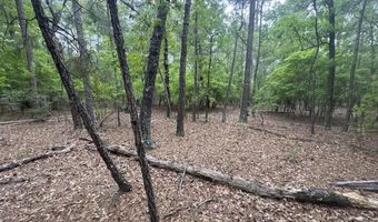 5 6 7 53 Off Highway Lot 5 6 & 7, Atkinson, NC 28421