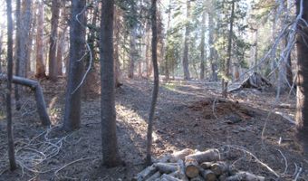 175 Silver Tip Dr, Bear Valley, CA 95223