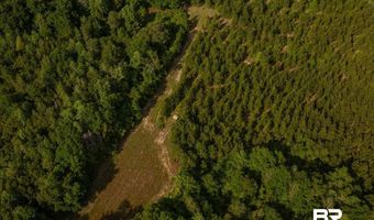 Flowers Road, Bay Minette, AL 36507