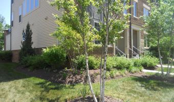 22806 BREEZY HOLLOW Dr, Brambleton, VA 20148