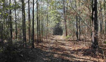 00 Hadwin Rd, Bamberg, SC 29003