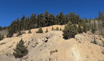 0 County Road 787, Alma, CO 80420