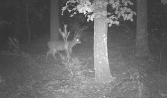 8752 HWY A, Almond, WI 54909