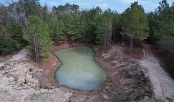 7262 N Brewington Rd, Alcolu, SC 29001