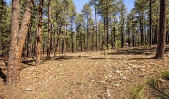 County Road 2325, Alpine, AZ 85920