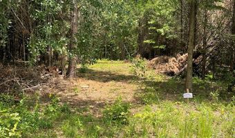 96 Deacon Rd, Calhoun Falls, SC 29628