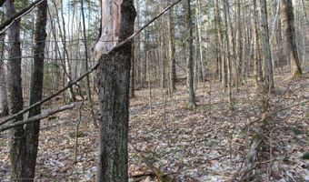 Upper Meehan Road, Bristol, VT 05443