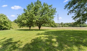 10741 Rutledge Pike, Blaine, TN 37709