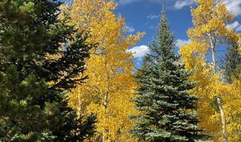 84 County Road 113 S, Allenspark, CO 80510