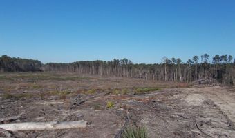 0 MT. ZION CHURCH Rd, Axson, GA 31624