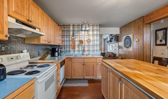 217 W Bleeker St, Aspen, CO 81611