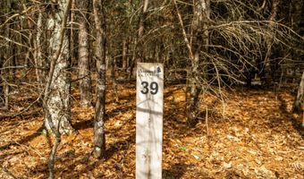 S Badger Lane lot 39, Arkdale, WI 54613