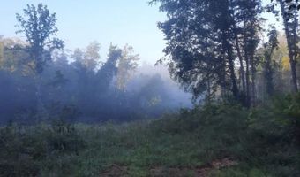 4889 NW Willow Grove Hwy Lot #2, Allons, TN 38541