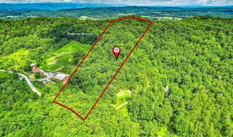 281 Lone Mountain Rd, Andersonville, TN 37705