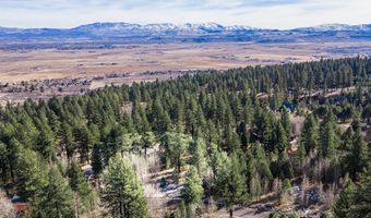 240 Forest Hill Way, Gardnerville, NV 89460