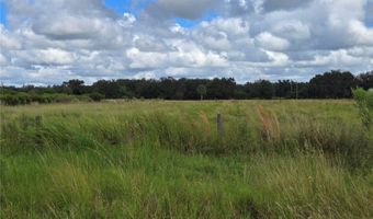 Se Piggy Back Road, Arcadia, FL 34266