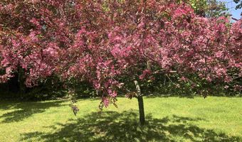 1586 Bent Hill Rd, Braintree, VT 05060