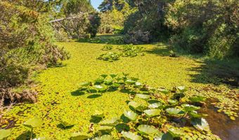 87363 Oberman Ln, Bandon, OR 97411