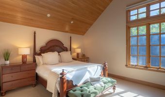 316 W End St, Aspen, CO 81611