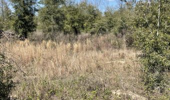 Speights Way, Bascom, FL 32423