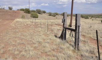 10 N9228, Concho, AZ 85924