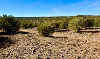 Kirkland DR 20 Acres, Concho, AZ 85924