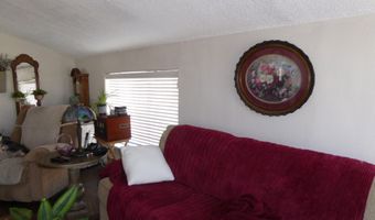 337 Ogden Ave, Ely, NV 89301