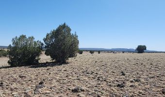 79 E Falcon Flight Way, Ash Fork, AZ 86320