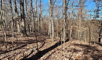 Lot 969 Iron Gate Drive, Baneberry, TN 37890