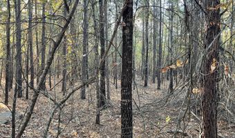 0 E 1912 Rd, Antlers, OK 74523