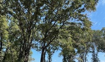 744 CR 1513, Alba, TX 75410