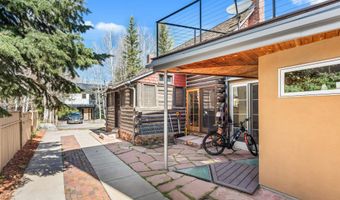 308 Park Ave, Aspen, CO 81611