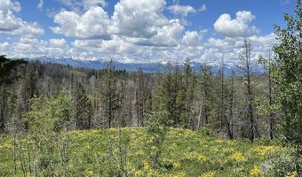 DEER HAVEN 40 AC Road, Bondurant, WY 82922