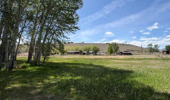 190 Meadow Rd, Challis, ID 83226