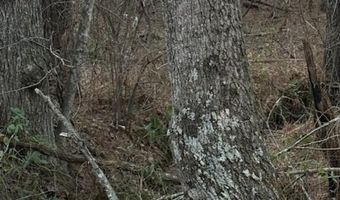 0- Lot 7 Piney Mountain Rd, Appomattox, VA 24522