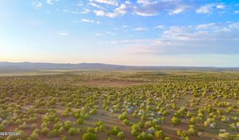 N SIX SHOOTER TRL 20 ACRES, Ash Fork, AZ 86320