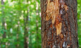 Hairfield Ln lot 0, Axton, VA 24054