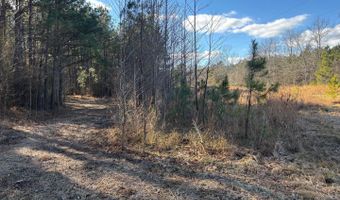 LOT 4B MOLLYFIELD ROAD, Dagsboro, DE 19939