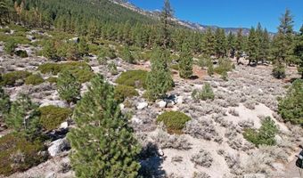 168 Five Creek Rd Lot 3, Gardnerville, NV 89460