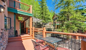 119 WOODS Dr, Breckenridge, CO 80424