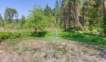 784 Twin Rivers Rd, Athol, ID 83801