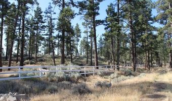 030 Butterfly Peak Rd, Mountain Center, CA 92561