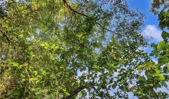 429 LEE ROAD 394, Auburn, AL 36832