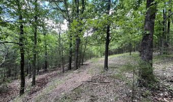 DOWNES ROAD, Bergman, AR 72615