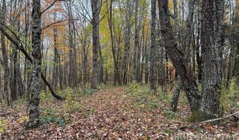 Rominger Road, Banner Elk, NC 28604