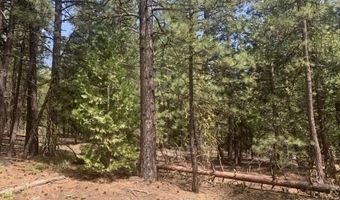 Railroad Flat Dr, Alturas, CA 96101