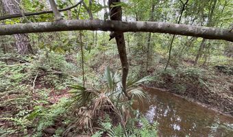 La Highway 442, Albany, LA 70711