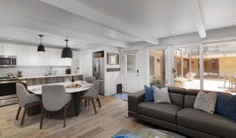 630 E Cooper Ave 2, Aspen, CO 81611