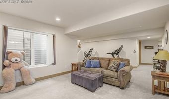 331 Panther Ct, Woodland Park, CO 80863